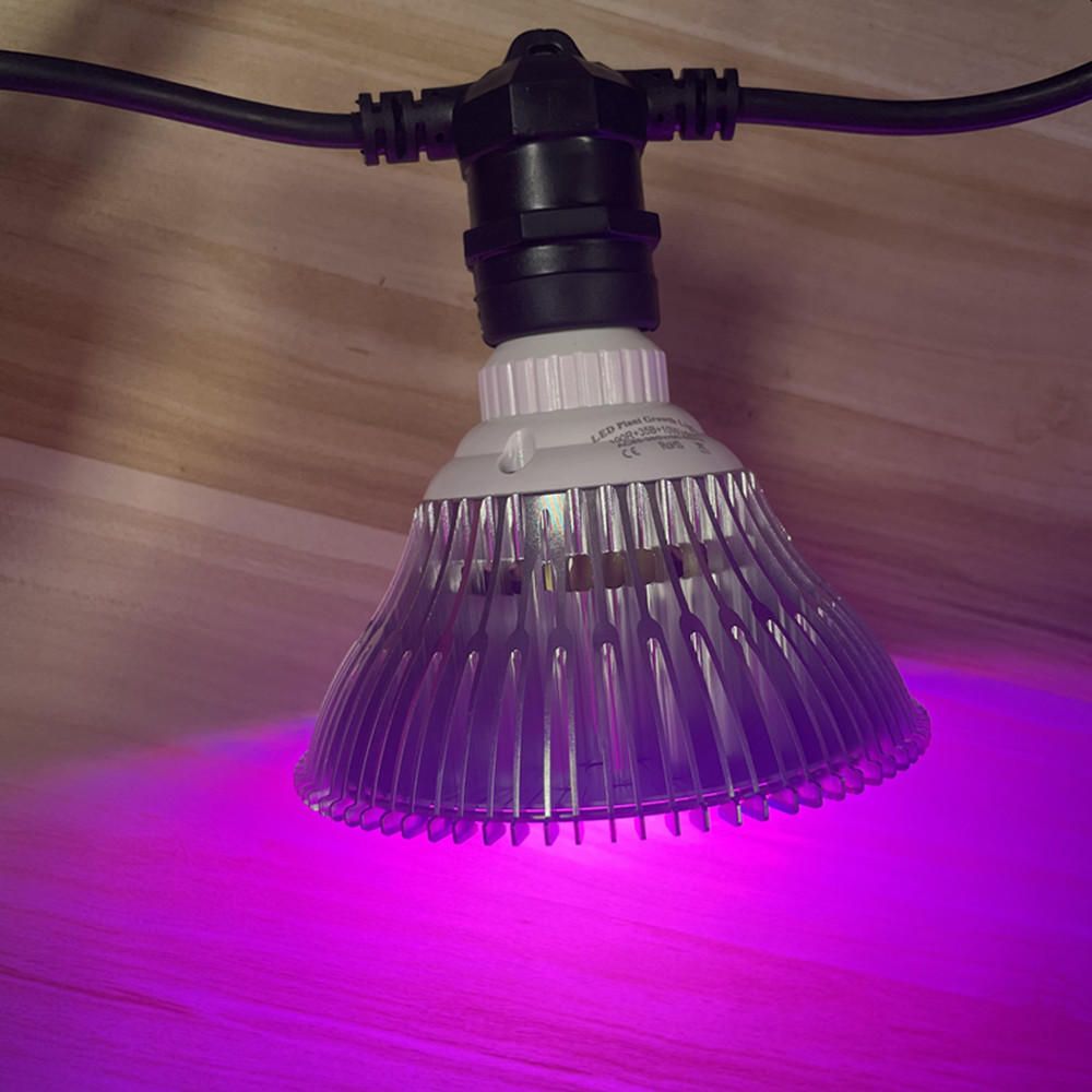10M Kabel LED, komercyjna jako – Outdoor Lighting Lumen recenzja i cena